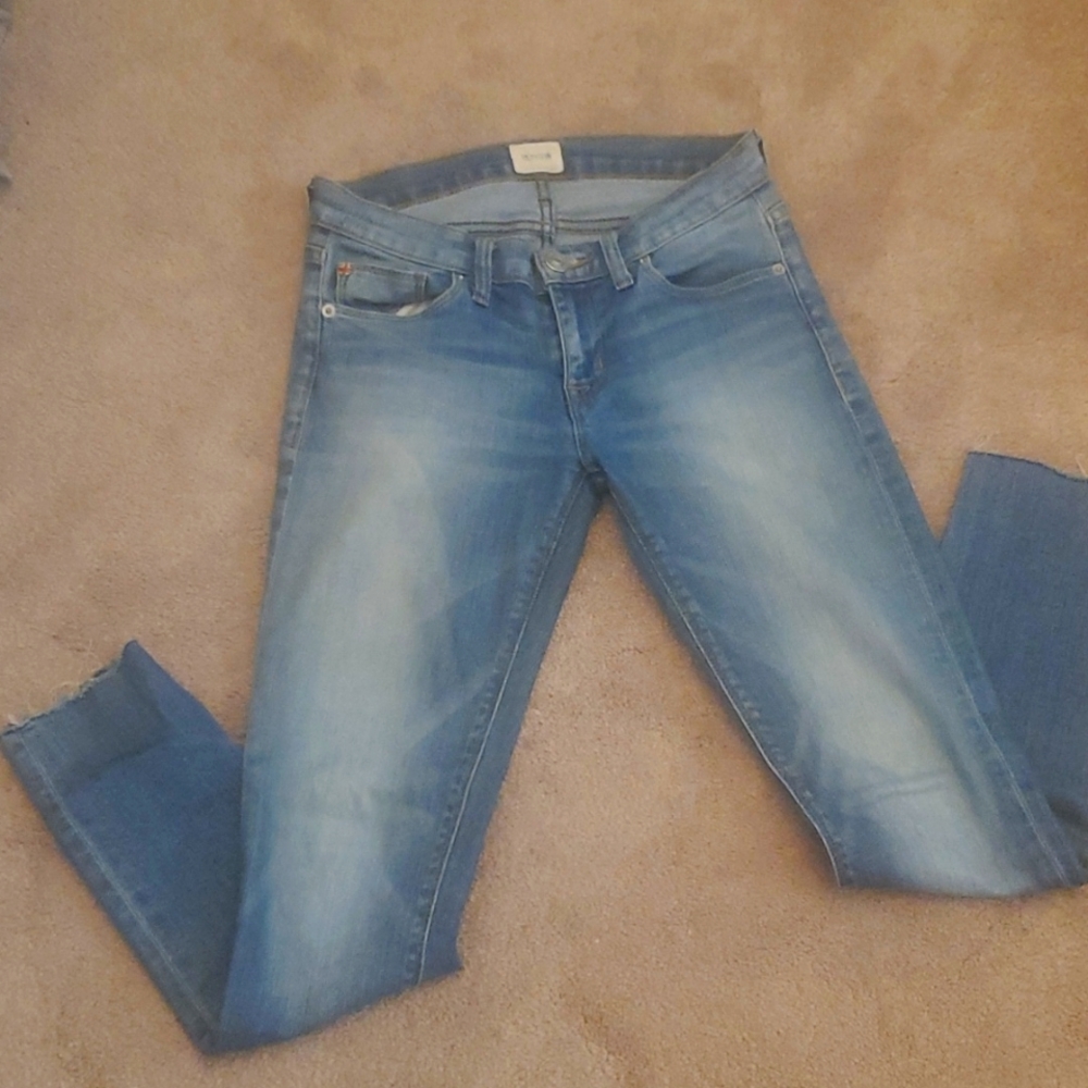 Hudson skinny ankle